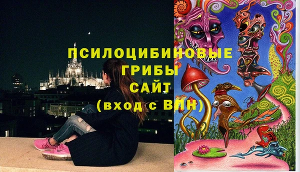 тгк Алзамай