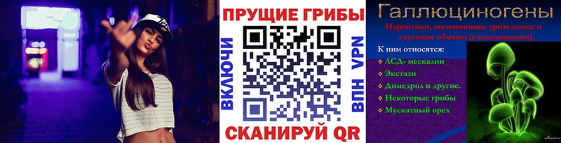 где купить наркоту  Петровск-Забайкальский  Псилоцибиновые грибы прущие грибы 